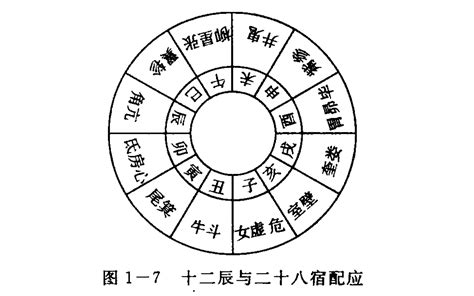 天干生地支|天干地支（中国古代天文历法）